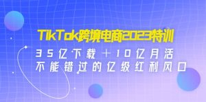 TikTok跨境电商2023特训：35亿下载＋10亿月活，不能错过的亿级红利风口-星河网创