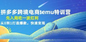 拼多多跨境电商temu特训营:先入局吃一波红利,从0到1打造爆款,快速变现-星河网创