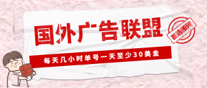 外面收费1980最新国外LEAD广告联盟搬砖项目，单号一天至少30美元(详细教程)-星河网创