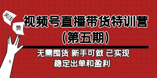 视频号直播带货特训营（第五期）无需囤货 新手可做 已实现稳定出单和盈利-星河网创