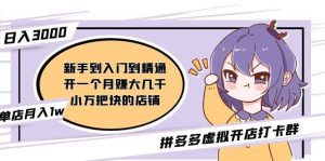 拼多多虚拟开店打卡群：入门到精通（昨日群里有小伙伴3000+）2月26更新-星河网创