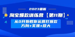 淘宝爆款训练营【第11期】 从0开始教你运营打爆款，方向+实操+放大-星河网创