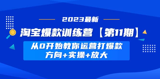 淘宝爆款训练营【第11期】 从0开始教你运营打爆款，方向+实操+放大-星河网创
