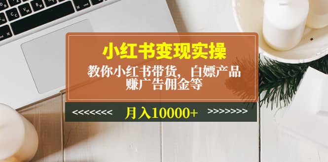 小红书变现实操：教你小红书带货，白嫖产品，赚广告佣金等-星河网创