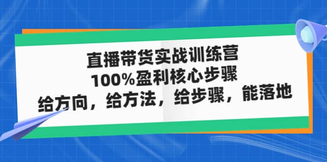 直播带货实战训练营：100%盈利核心步骤，给方向，给方法，给步骤，能落地-星河网创