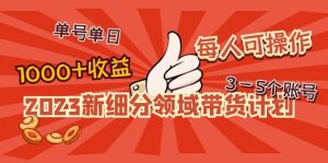 2023新细分领域带货计划：单号单日1000+收益不难，每人可操作3-5个账号-星河网创
