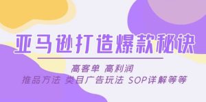亚马逊打造爆款秘诀：高客单 高利润 推品方法 类目广告玩法 SOP详解等等-星河网创