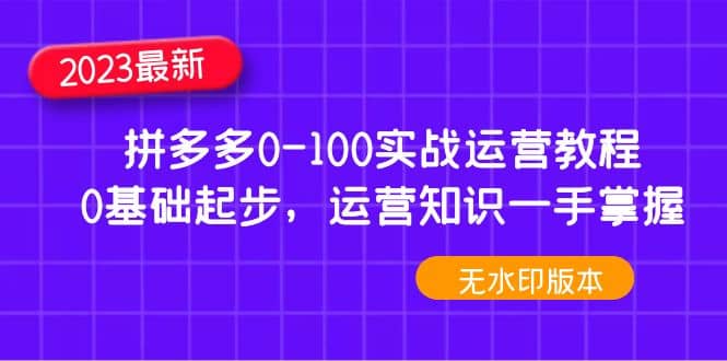 2023拼多多0-100实战运营教程,0基础起步,运营知识一手掌握(无水印)-星河网创