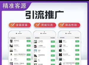 微信简单易上手引流方法，无门槛 小白即可操作 日引流300+【详细玩法教程】-星河网创