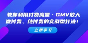 教你利用付费流量·GMV放大，微付费、纯付费的实战型打法-星河网创