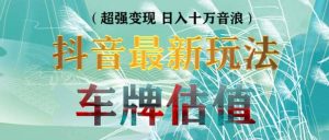抖音最新无人直播变现直播车牌估值玩法项目 轻松日赚几百+【详细玩法教程】-星河网创