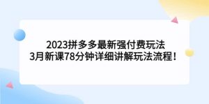 2023拼多多最新强付费玩法，3月新课78分钟详细讲解玩法流程-星河网创