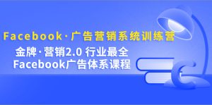 Facebook·广告营销系统训练营：金牌·营销2.0 行业最全Facebook广告·体系-星河网创