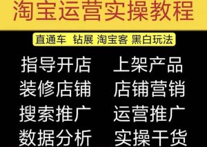 2023淘宝开店教程0基础到高级全套视频网店电商运营培训教学课程（2月更新）-星河网创