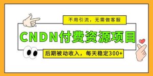 CNDN付费资源项目，不用引流，无需做客服，后期被动收入-星河网创