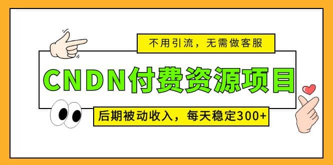 CNDN付费资源项目，不用引流，无需做客服，后期被动收入-星河网创