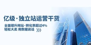 独立站运营干货：全面提升网站·转化率超过4%，轻松大卖 用数据说话-星河网创