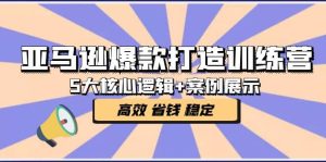 亚马逊爆款打造训练营：5大核心逻辑+案例展示 打造爆款链接 高效 省钱 稳定-星河网创