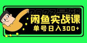花599买的闲鱼项目：2023最新闲鱼实战课（7节课）-星河网创