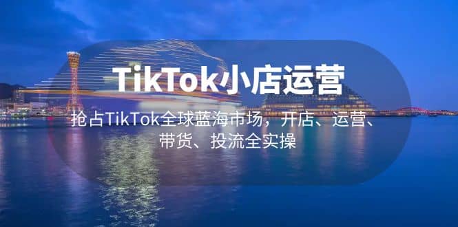 TikTok小店运营 抢占TikTok全球蓝海市场,开店、运营、带货、投流全实操-星河网创