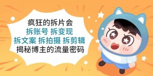 疯狂的拆片会：拆账号 拆变现 拆文案 拆拍摄 拆剪辑 揭秘博主的流量密码-星河网创