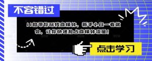 11招带你玩转自媒体，新手小白一看就会，让你快速抢占自媒体流量-星河网创