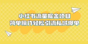 外面收费398小红书流量掘金项目，简单操作轻松引流私域爆单-星河网创