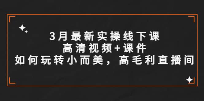 3月最新实操线下课高清视频+课件,如何玩转小而美,高毛利直播间-星河网创