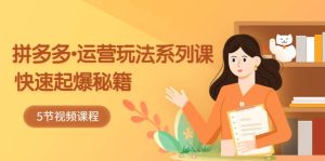 2023拼多多-运营玩法系列课：快速起爆秘籍（5节视频课）-星河网创
