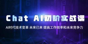 Chat AI初阶实战课，AI时代技术变革 未来已来 提高工作效率和未来竞争力-星河网创