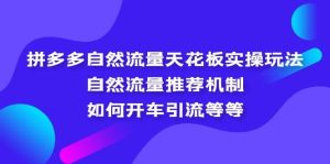 拼多多自然流量天花板实操玩法：自然流量推荐机制，如何开车引流等等-星河网创
