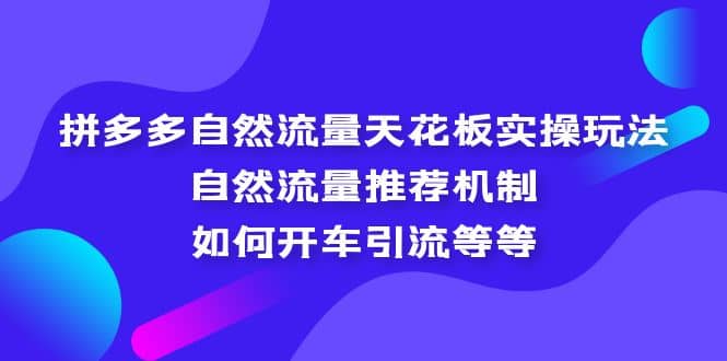 拼多多自然流量天花板实操玩法：自然流量推荐机制，如何开车引流等等-星河网创