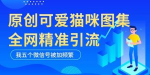 黑科技纯原创可爱猫咪图片，全网精准引流，实操5个VX号被加频繁-星河网创