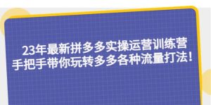 23年最新拼多多实操运营训练营：手把手带你玩转多多各种流量打法！-星河网创