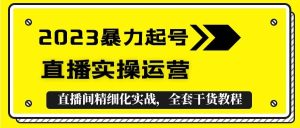 2023暴力起号+直播实操运营，全套直播间精细化实战，全套干货教程-星河网创