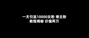 一天引流10000女粉，博主粉教程揭秘（价值两万）-星河网创