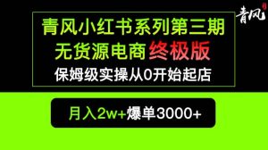 小红书无货源电商爆单终极版【视频教程+实战手册】保姆级实操从0起店爆单-星河网创