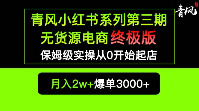 小红书无货源电商爆单终极版【视频教程+实战手册】保姆级实操从0起店爆单-星河网创