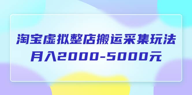 淘宝虚拟整店搬运采集玩法分享课：月入2000-5000元（5节课）-星河网创