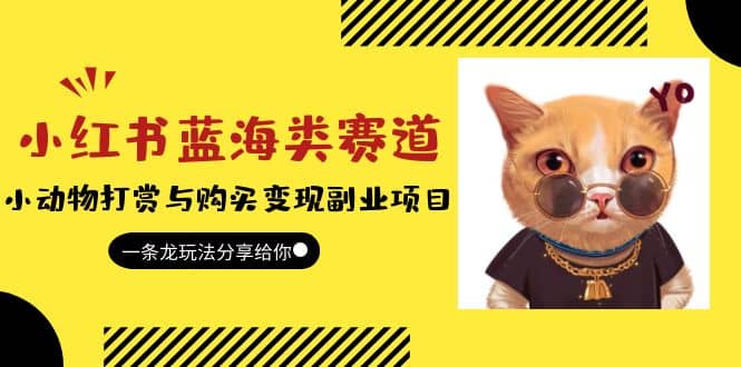 小红书蓝海类赛道：小动物打赏与购买变现副业项目，一条龙玩法分享给你-星河网创
