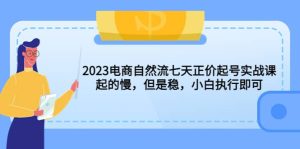 2023电商自然流七天正价起号实战课：起的慢，但是稳，小白执行即可-星河网创