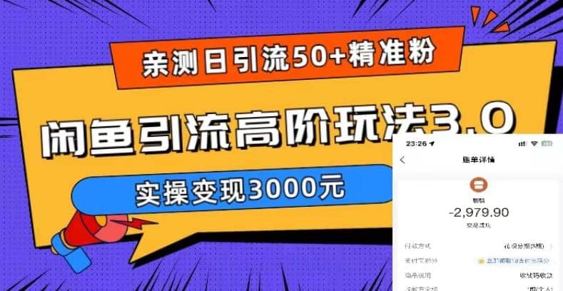 实测日引50+精准粉，闲鱼引流高阶玩法3.0，实操变现3000元-星河网创
