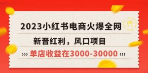 2023小红书电商火爆全网，新晋红利，风口项目，单店收益在3000-30000-星河网创
