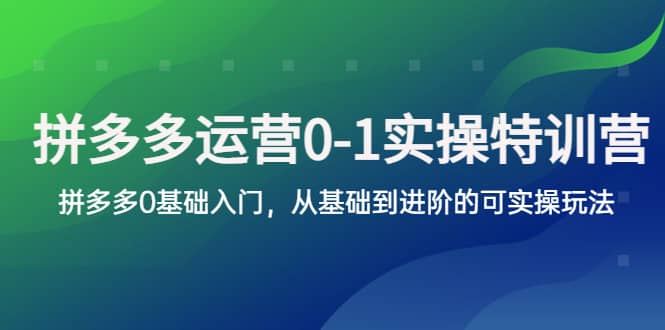 拼多多-运营0-1实操训练营，拼多多0基础入门，从基础到进阶的可实操玩法-星河网创