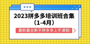 2023拼多多培训班合集（1-4月），最新最全新手拼多多上手课程!-星河网创