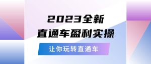 2023全新直通车·盈利实操：从底层，策略到搭建，让你玩转直通车-星河网创