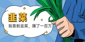 我靠割韭菜 赚了一百万-星河网创