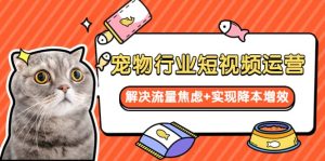 宠物/行业短视频运营 流量增长的一层窗户纸 解决流量焦虑+实现降本增效-星河网创