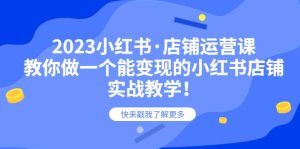 2023小红书·店铺运营课，教你做一个能变现的小红书店铺，20节-实战教学-星河网创