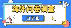 外面收费5000+海外问卷调查口子查项目，认真做单机一天200+-星河网创